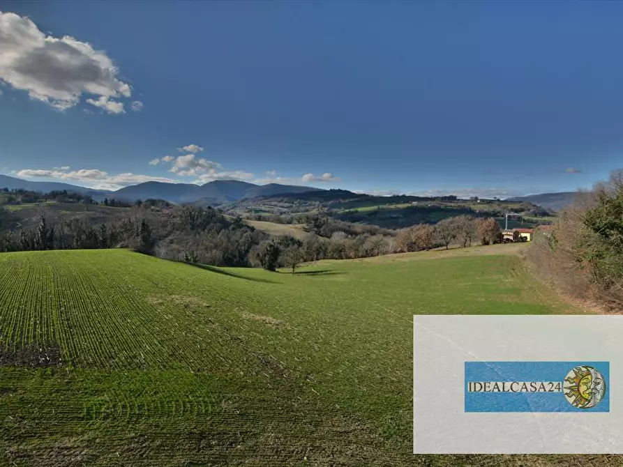 Immagine 5 di Terreno agricolo in vendita  in camporotondo di fiastrone c.da colvenale n. 7  a Camporotondo Di Fiastrone