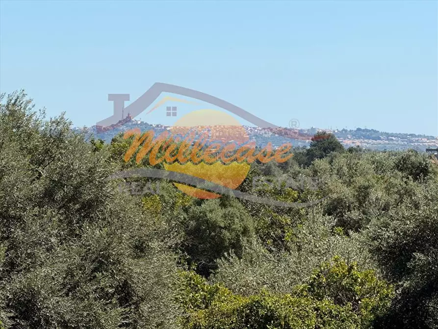 Immagine 5 di Villa in vendita  in contrada monasteri a Floridia
