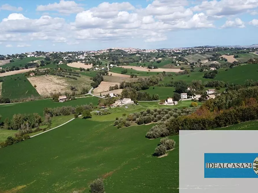 Immagine 8 di Terreno agricolo in vendita  in Corridonia Contrada Ponte tavola a Corridonia
