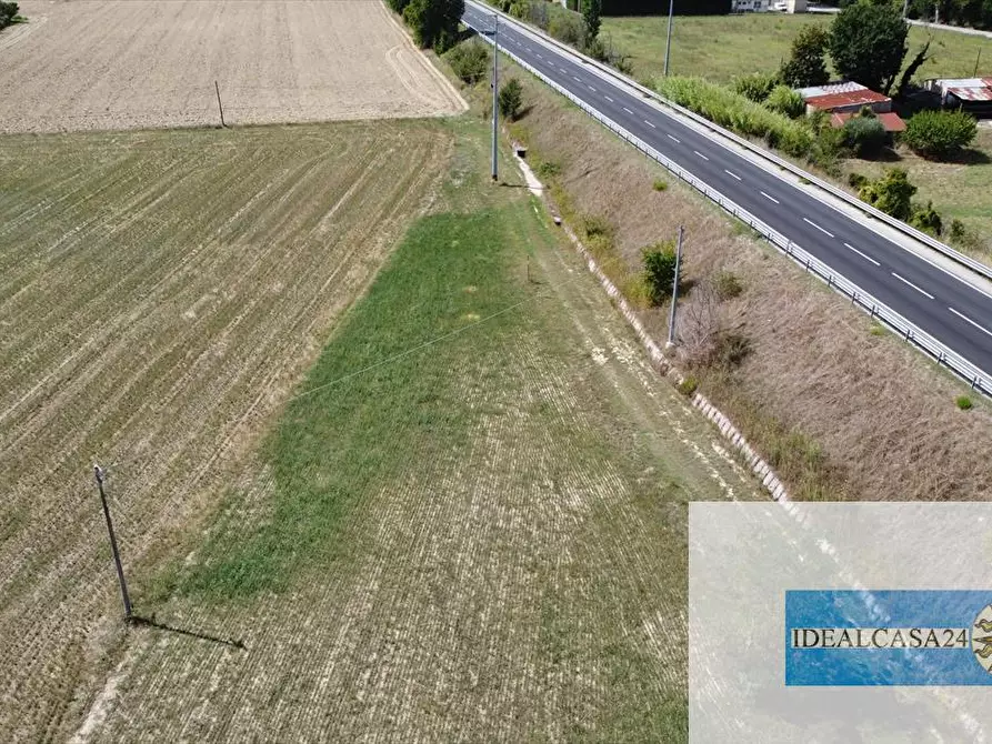 Immagine 6 di Terreno agricolo in vendita  in Macerata Contrada Potenza 33 a Macerata