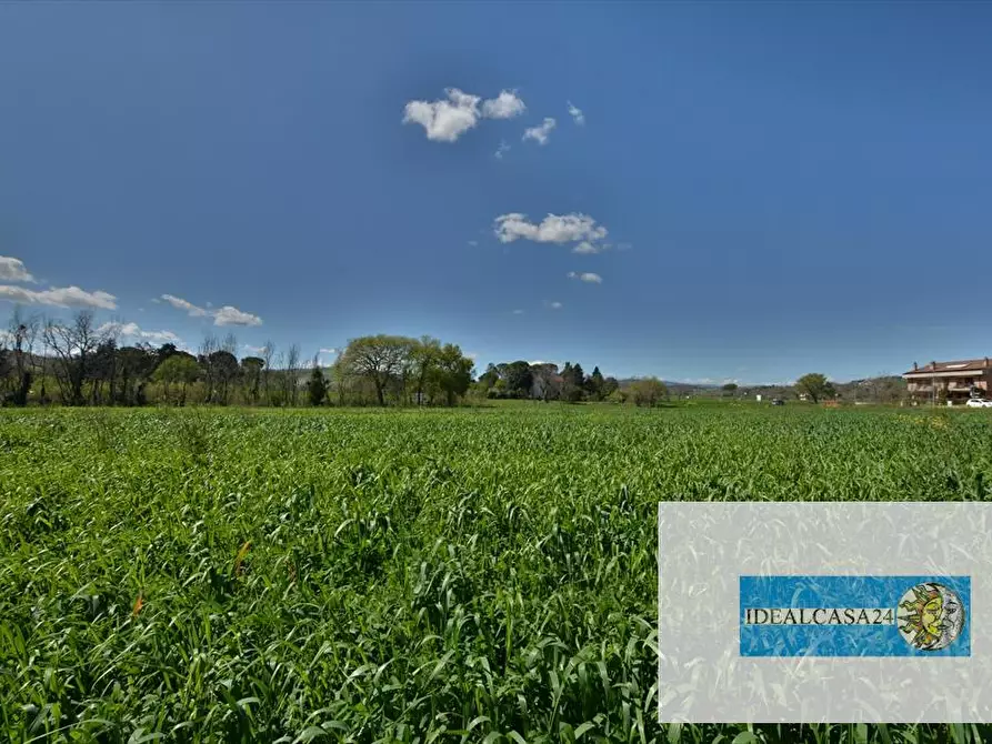 Immagine 24 di Terreno edificabile in vendita  in Tolentino Via Marco Biagi  a Tolentino