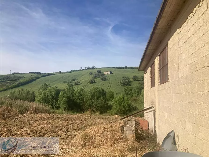 Immagine 3 di Terreno agricolo in vendita  in ss 189 a Lercara Friddi