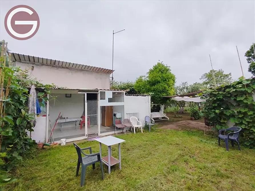 Immagine 4 di Terreno agricolo in vendita  a Taurianova