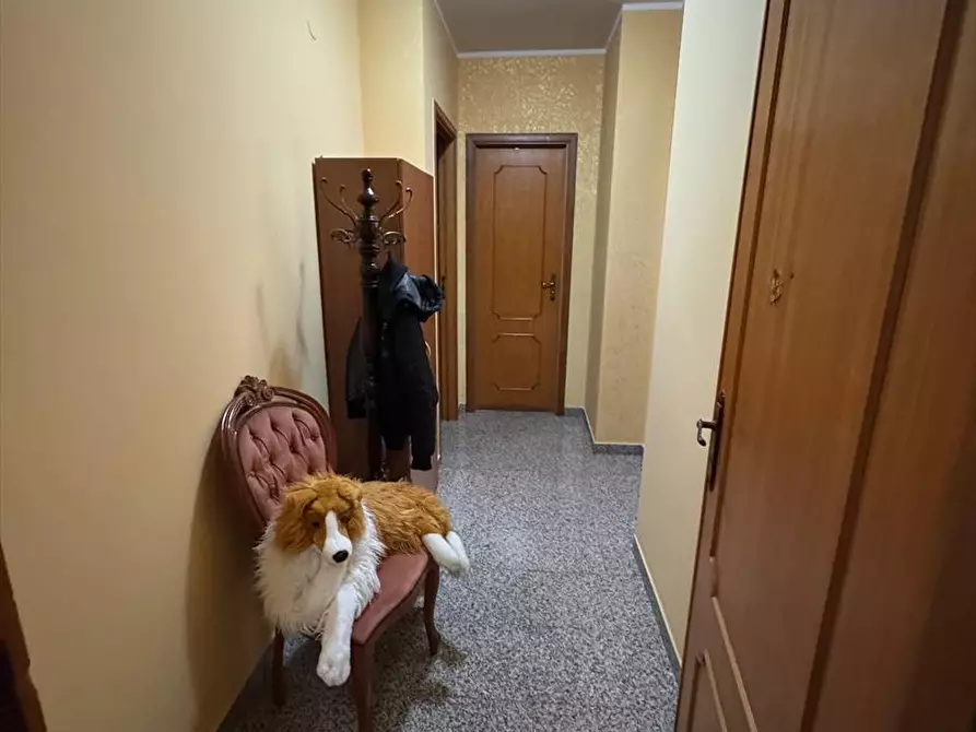 Immagine 6 di Appartamento in vendita  a Cittanova