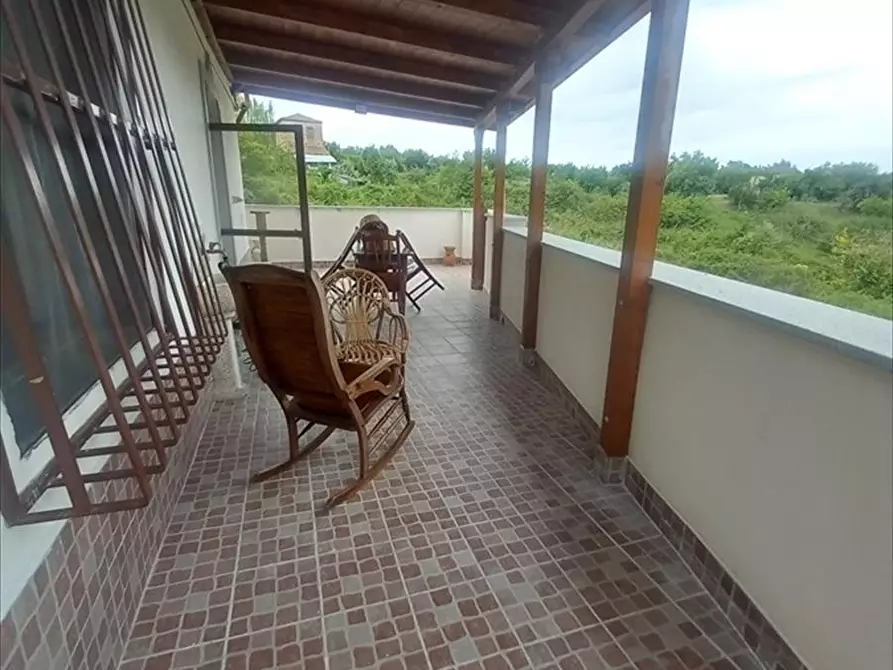 Immagine 22 di Casa indipendente in vendita  a Laureana Di Borrello