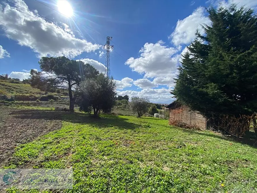 Immagine 6 di Terreno agricolo in vendita  in Via Giacomo Leopardi a Valledolmo