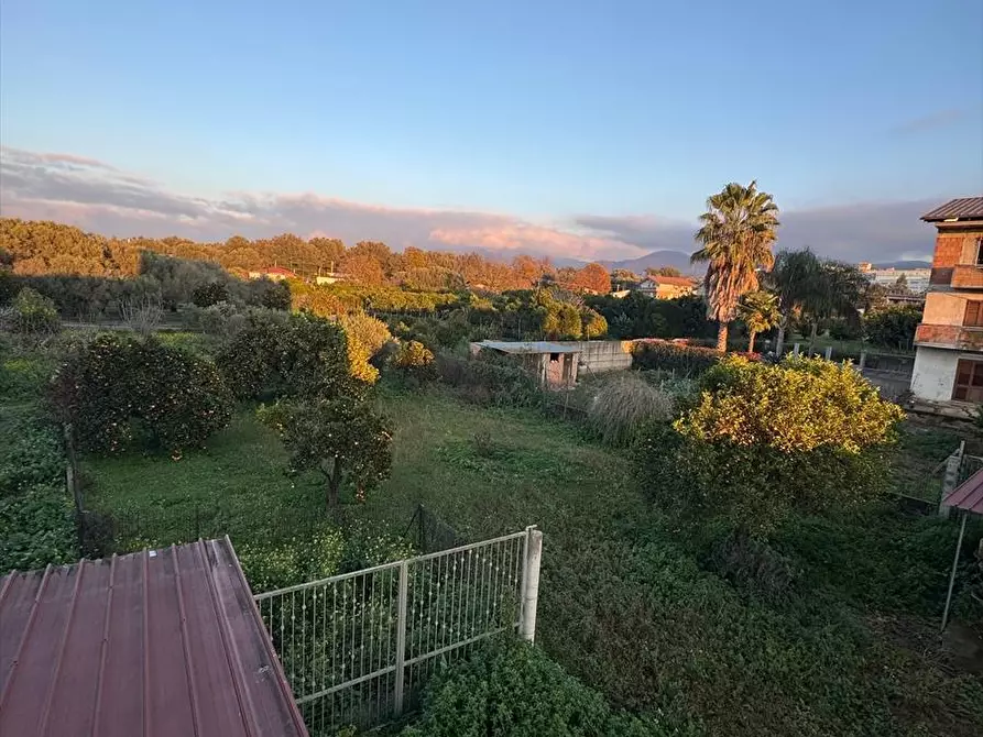 Immagine 15 di Appartamento in vendita  a Polistena