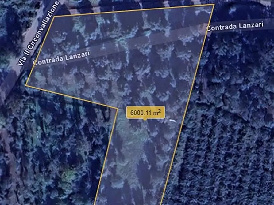 Immagine 2 di Terreno agricolo in vendita  a Taurianova