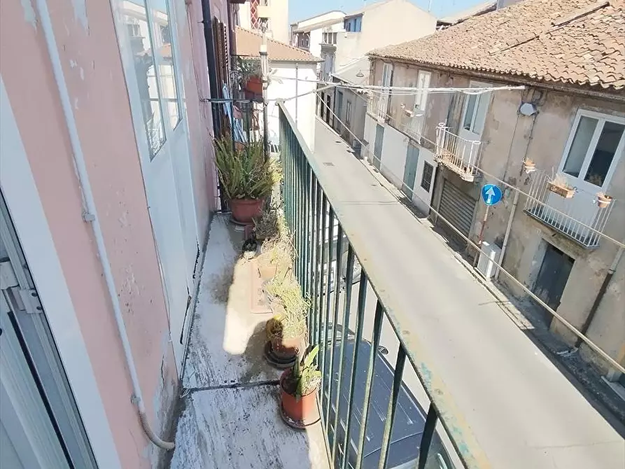 Immagine 2 di Casa indipendente in vendita  a Cittanova