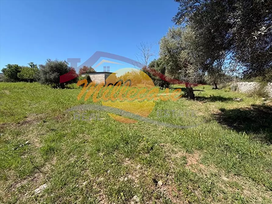 Immagine 24 di Villa in vendita  in contrada monasteri a Floridia