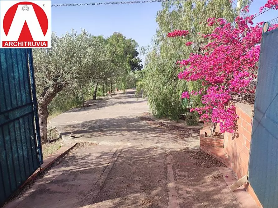 Immagine 3 di Terreno agricolo in vendita  in via due fontane a Caltanissetta