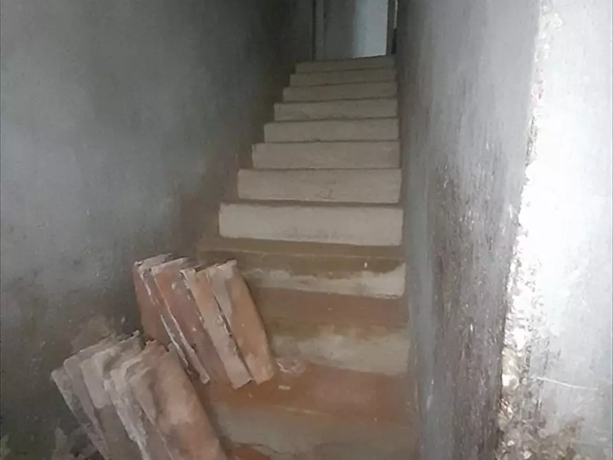 Immagine 3 di Casa indipendente in vendita  a Cittanova