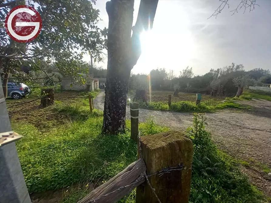 Immagine 8 di Terreno agricolo in vendita  a Cinquefrondi