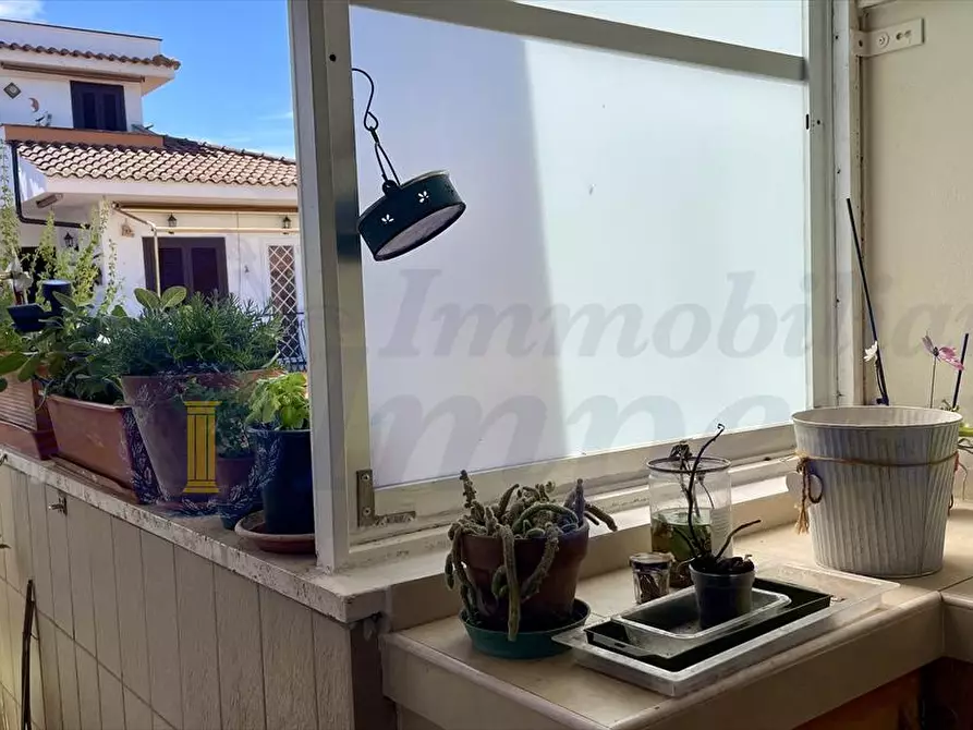 Immagine 3 di Casa indipendente in vendita  a Ardea