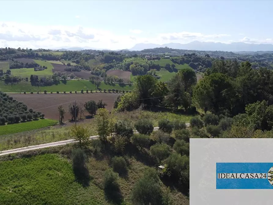 Immagine 6 di Terreno agricolo in vendita  in Corridonia Contrada Ponte tavola a Corridonia
