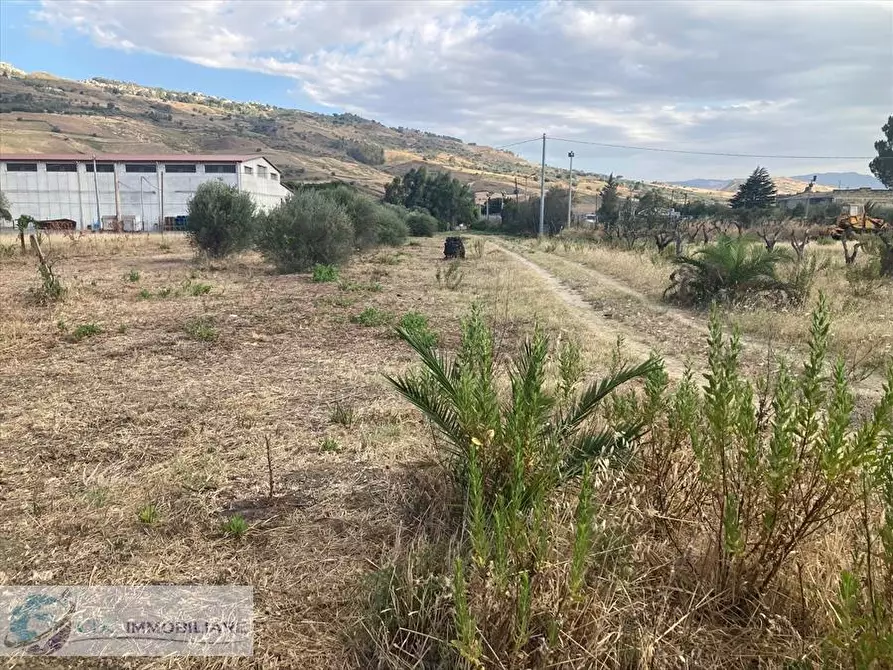 Immagine 21 di Terreno industriale in vendita  in c.da Piani Vicari a Vicari