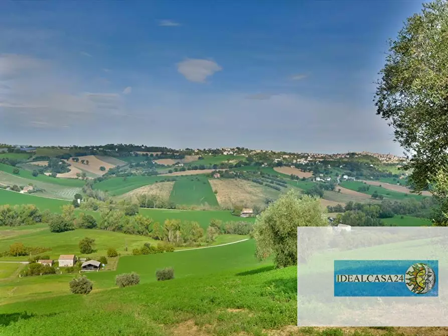 Immagine 26 di Terreno agricolo in vendita  in Corridonia Contrada Ponte tavola a Corridonia