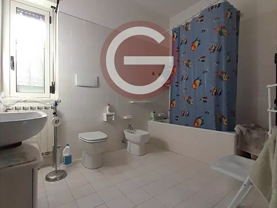 Immagine 14 di Appartamento in vendita  a Cittanova