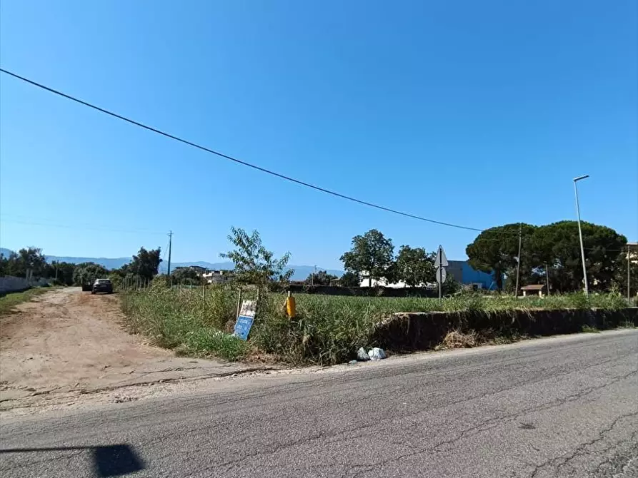 Immagine 2 di Terreno agricolo in vendita  a Taurianova