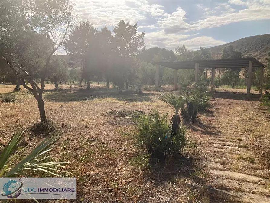 Immagine 24 di Terreno industriale in vendita  in c.da Piani Vicari a Vicari