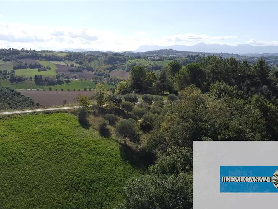 Immagine 5 di Terreno agricolo in vendita  in Corridonia Contrada Ponte tavola a Corridonia