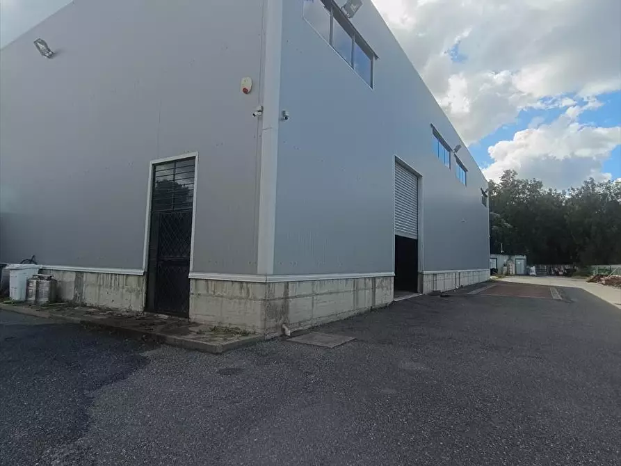 Immagine 2 di Capannone industriale in affitto  a Taurianova