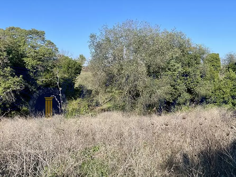 Immagine 2 di Terreno agricolo in vendita  in Via dei Rutuli a Aprilia