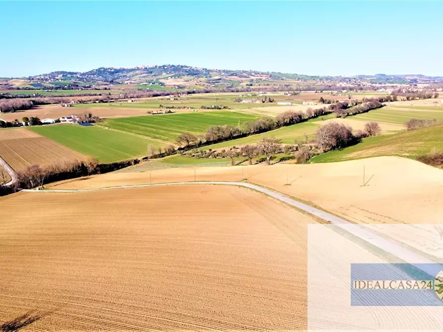 Immagine 22 di Casa indipendente in vendita  in C.da Case Nuove a Montelupone