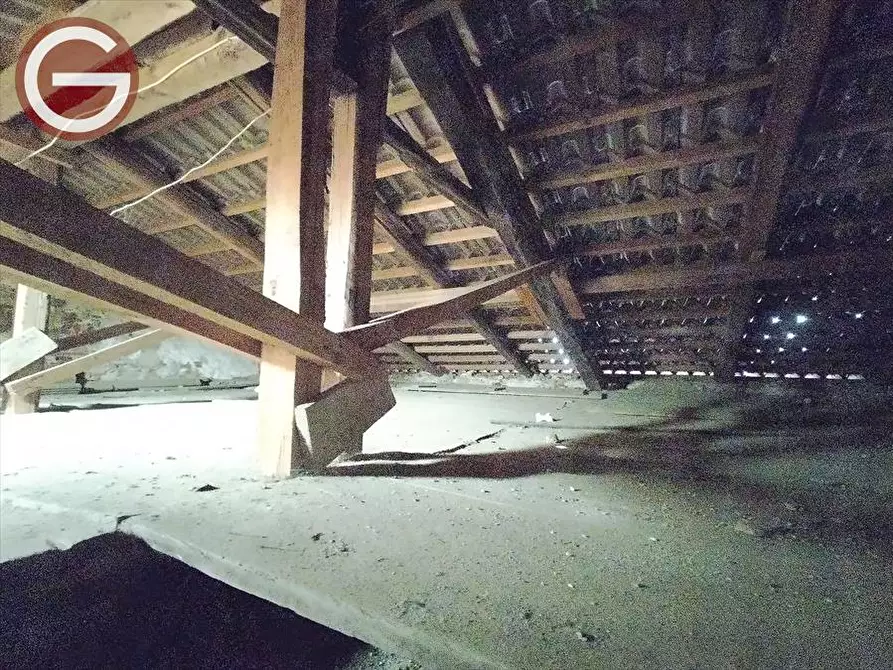 Immagine 6 di Casa indipendente in vendita  a Cittanova