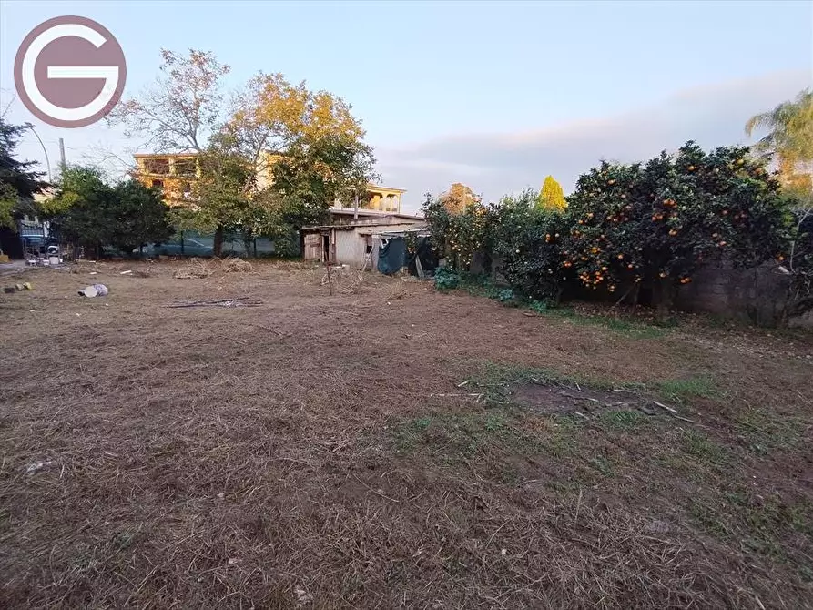 Immagine 8 di Terreno edificabile in vendita  a Taurianova
