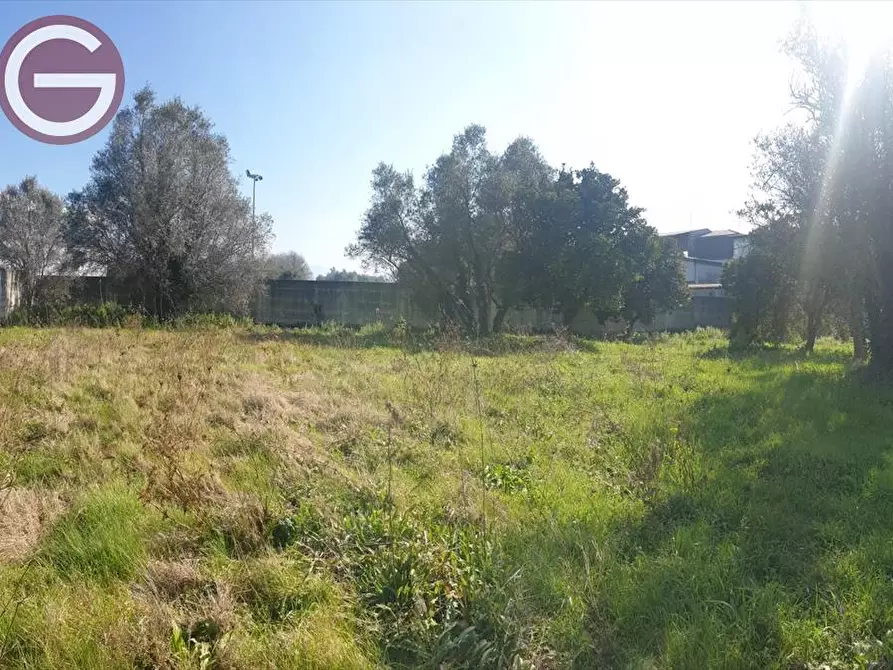Immagine 1 di Terreno industriale in vendita  a Taurianova