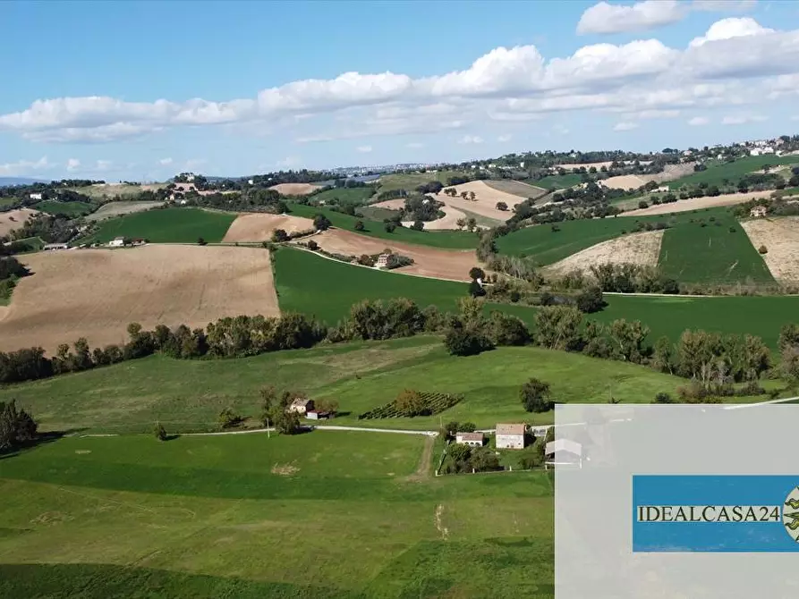 Immagine 9 di Terreno agricolo in vendita  in Corridonia Contrada Ponte tavola a Corridonia