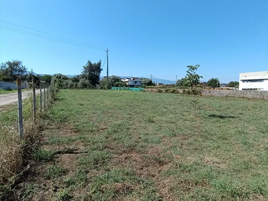 Immagine 4 di Terreno agricolo in vendita  a Taurianova