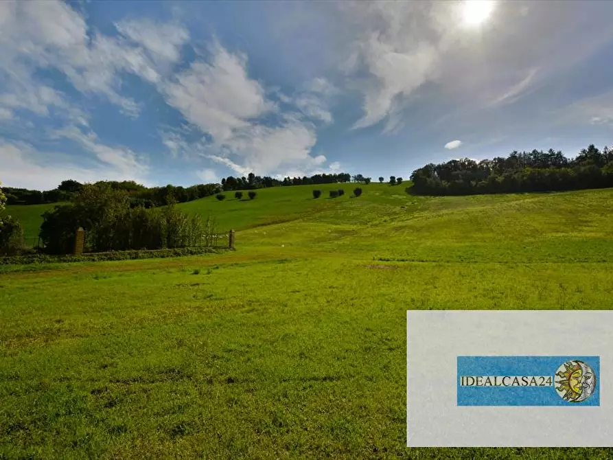 Immagine 15 di Terreno agricolo in vendita  in Corridonia Contrada Ponte tavola a Corridonia