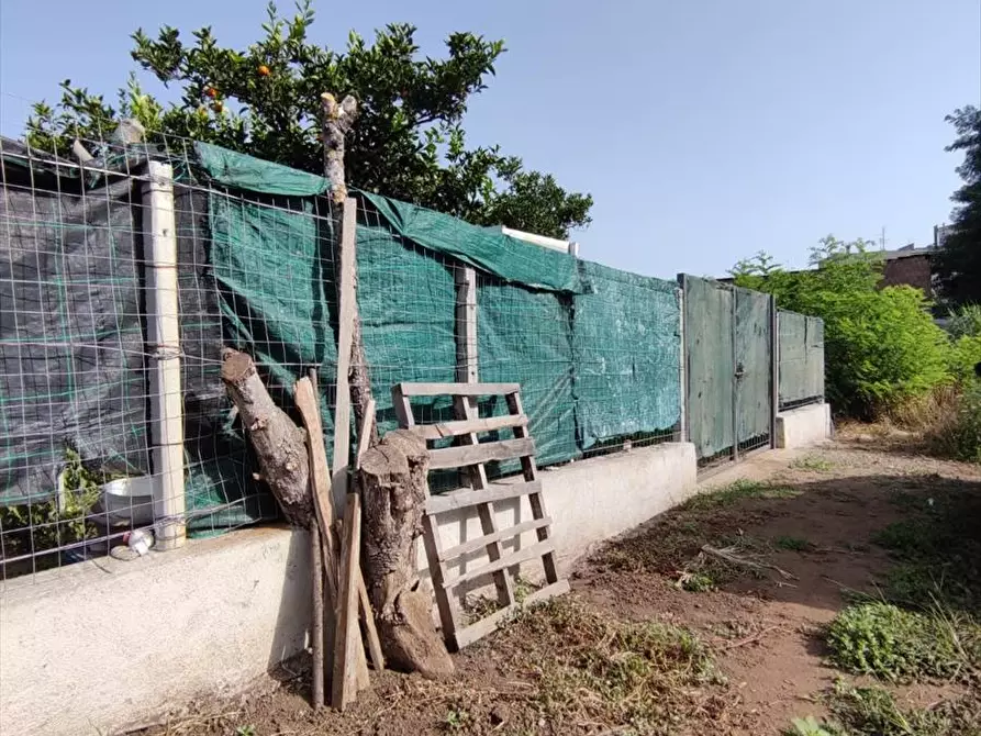 Immagine 3 di Terreno agricolo in vendita  a Taurianova