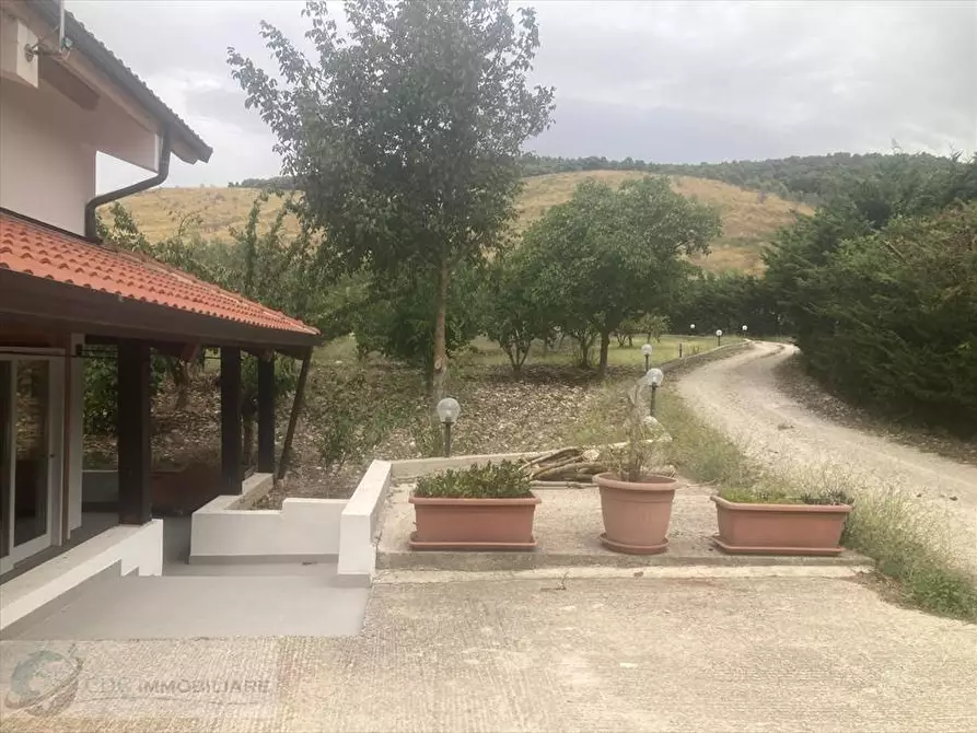Immagine 4 di Villa in vendita  in contrada Margimuto a Santo Stefano Quisquina
