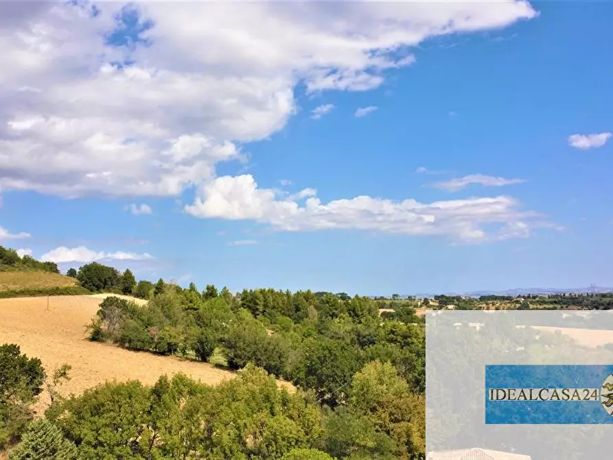 Immagine 4 di Terreno edificabile in vendita  a Treia