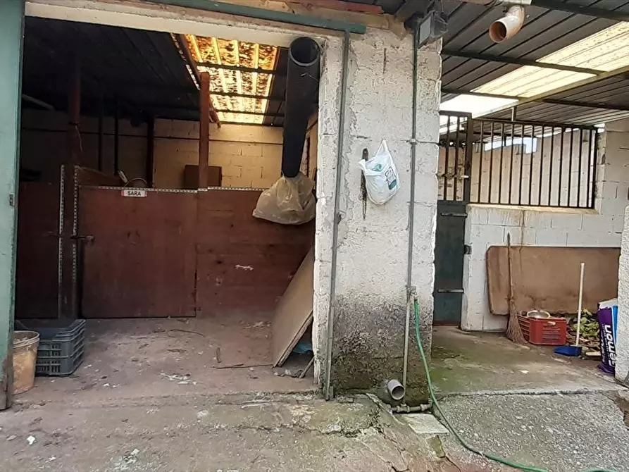 Immagine 2 di Terreno edificabile in vendita  a Polistena