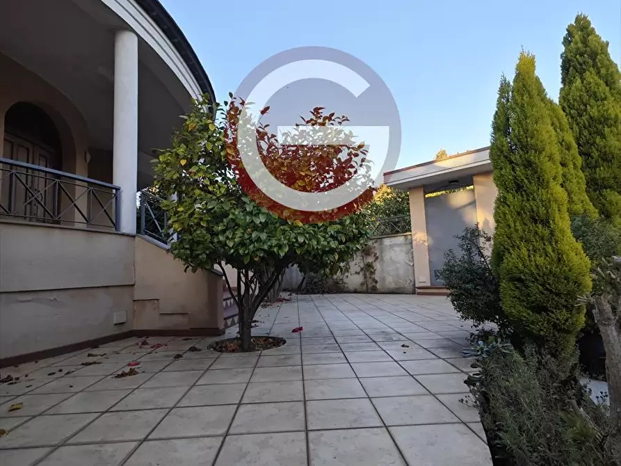 Immagine 17 di Villa in vendita  a Cittanova
