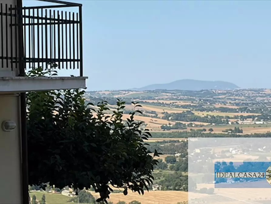Immagine 29 di Casa indipendente in vendita  in Pollenza C.da Fontangela a Pollenza