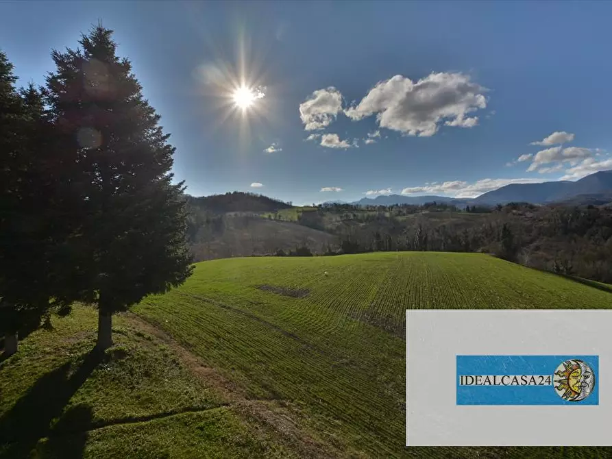 Immagine 7 di Terreno agricolo in vendita  in camporotondo di fiastrone c.da colvenale n. 7  a Camporotondo Di Fiastrone