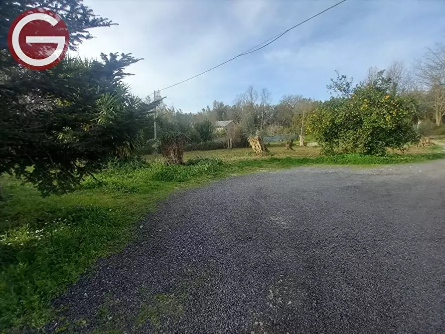 Immagine 6 di Terreno agricolo in vendita  a Cinquefrondi