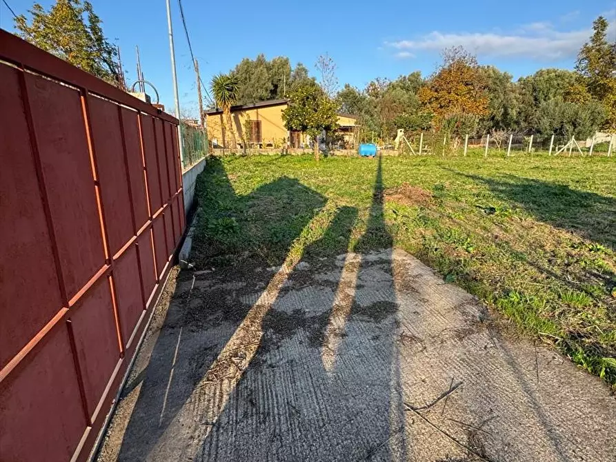 Immagine 3 di Terreno edificabile in vendita  a Taurianova