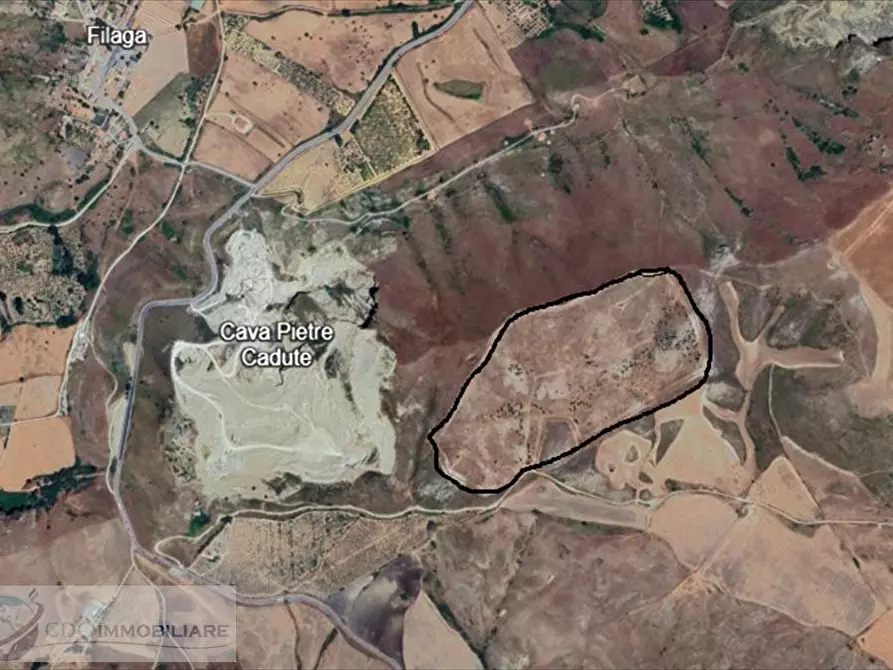 Immagine 3 di Terreno agricolo in vendita  in conrtrada Mannifarina a Castronovo Di Sicilia