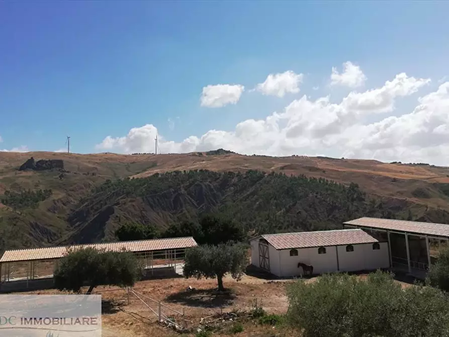 Immagine 14 di Agriturismo in vendita  in Contrada Riena  a Castronovo Di Sicilia