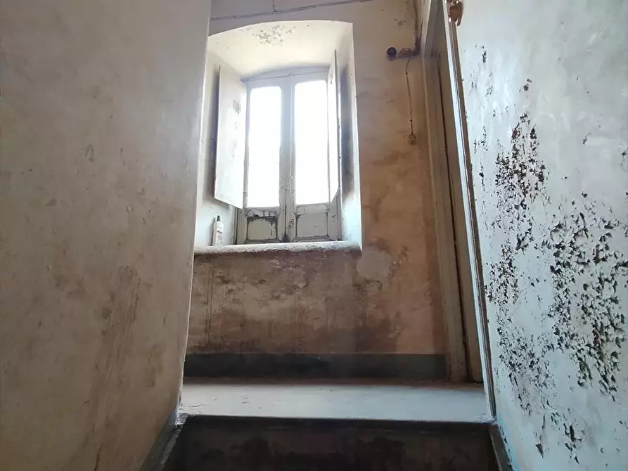 Immagine 14 di Casa indipendente in vendita  a Cittanova