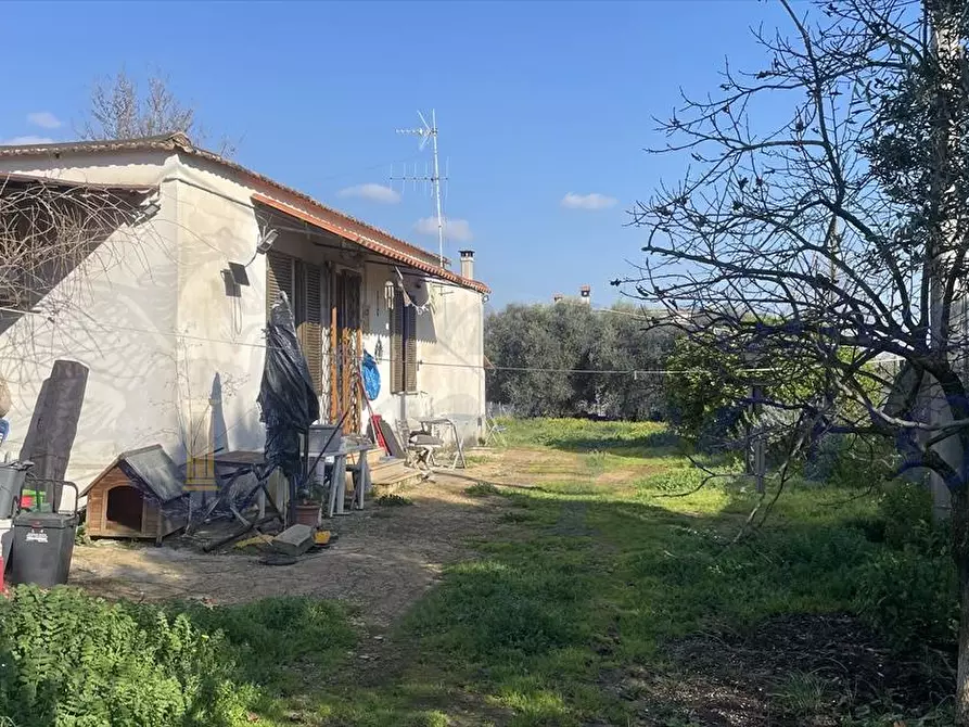 Immagine 4 di Villa in vendita  in Via Pedica 79 a Genzano Di Roma