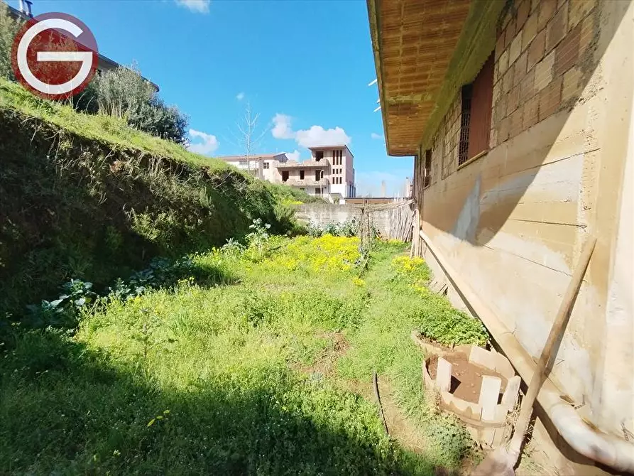 Immagine 3 di Casa indipendente in vendita  a Molochio