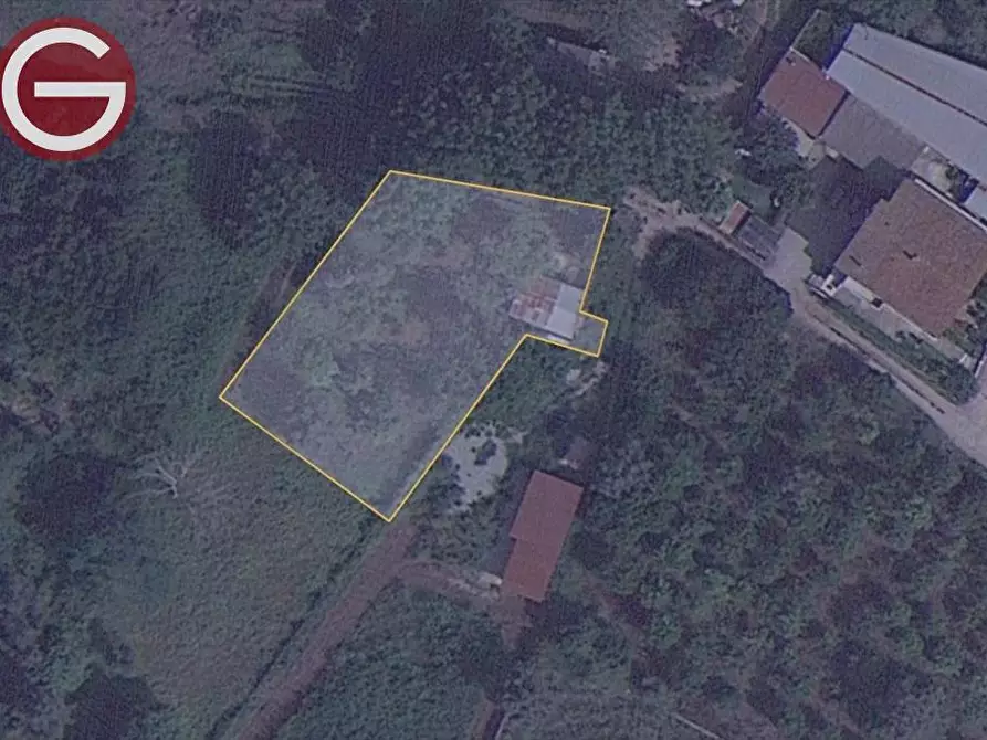 Immagine 3 di Terreno agricolo in vendita  a Taurianova