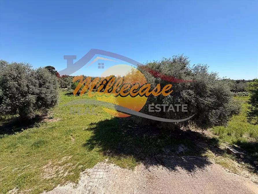 Immagine 14 di Villa in vendita  in contrada monasteri a Floridia